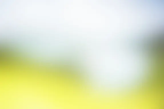 PocketWin Casino Kundeservice